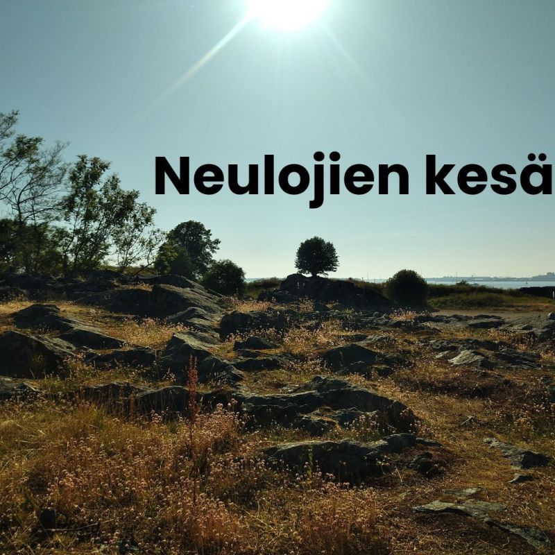 Kuvassa hyvin aurinkoinen kesäpäivä. Aurinko porottaa kivikkoiseen maisemaan suoraan ylhäältä. Kaukana siintää meri.